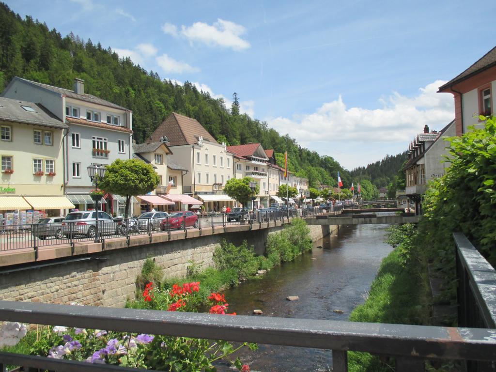 Pension Blaues Haus St. Blasien Exterior photo